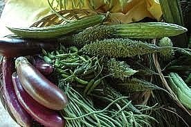 nuestros productos estrella asiáticos   KARELA LISA - KARELA DE PINCHO - JUDIA CHINA EXTRA LARGA - BERENJENA ORIENTAL - PAKCHOI - CALABAZA - KATDU - PEPINO CHINO ETC..